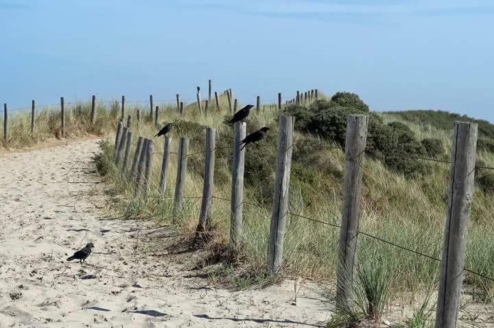 Villa Me Oissie Egmond aan Zee Exterior foto